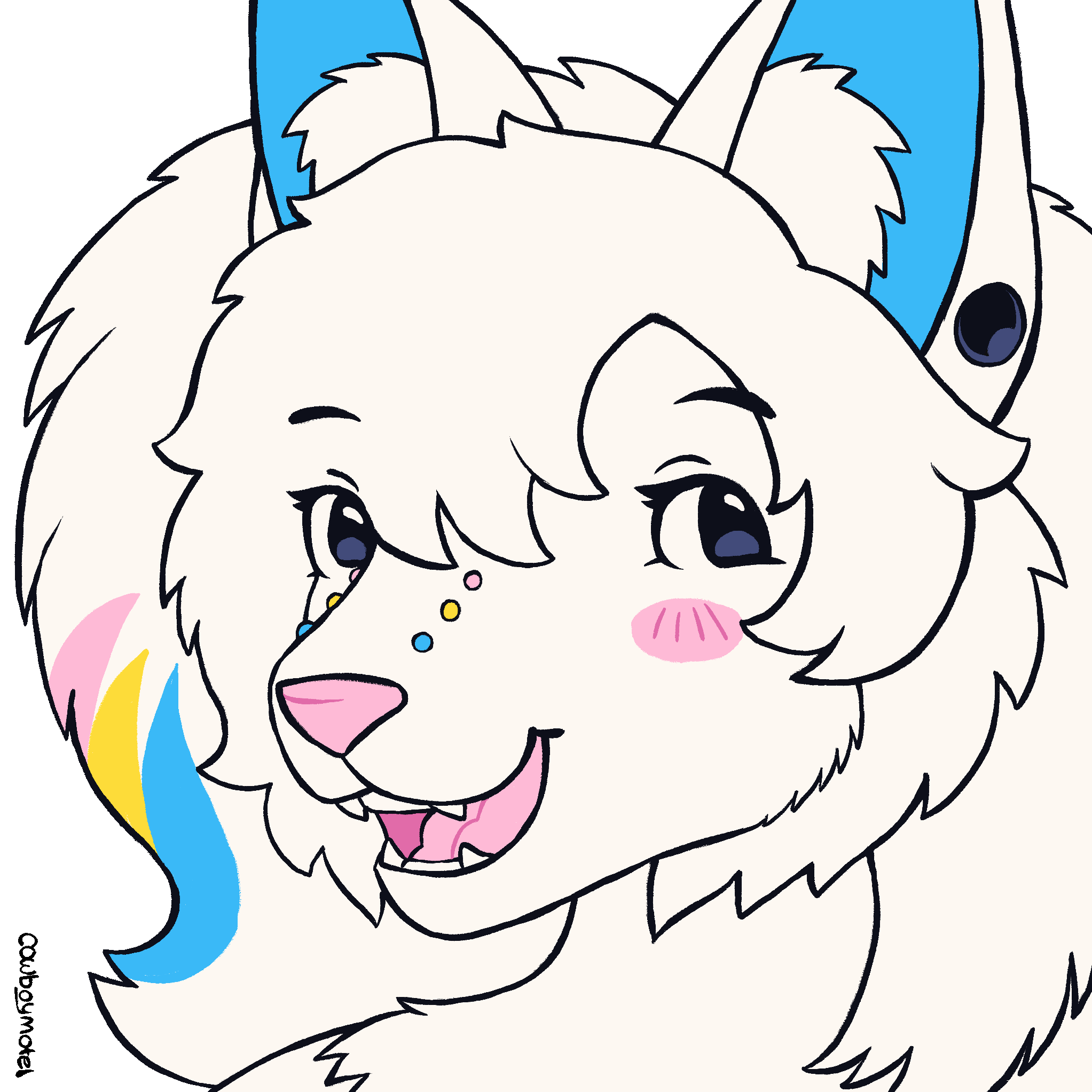 credit | cowboymotel